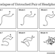 Illustration for article titled Every Single Pair of Freaking Headphones Ends Up Like This